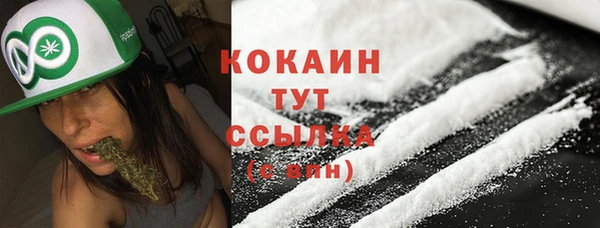 прущие крисы Верея