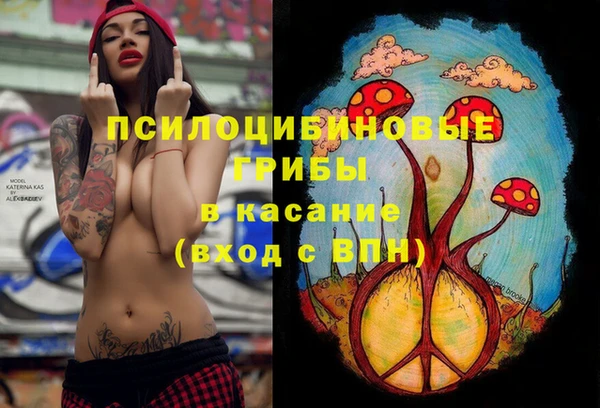 прущие крисы Верея