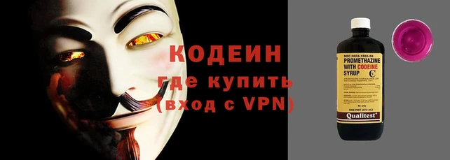 амф Бородино