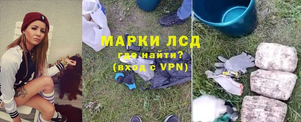 прущие крисы Верея