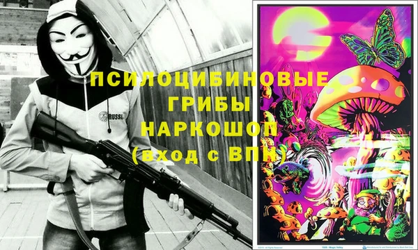 прущие крисы Верея