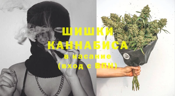 прущие крисы Верея