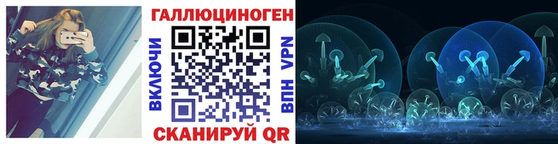 сколько стоит  Яровое  omg   Галлюциногенные грибы Cubensis 